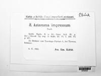 Asteroma impressum image